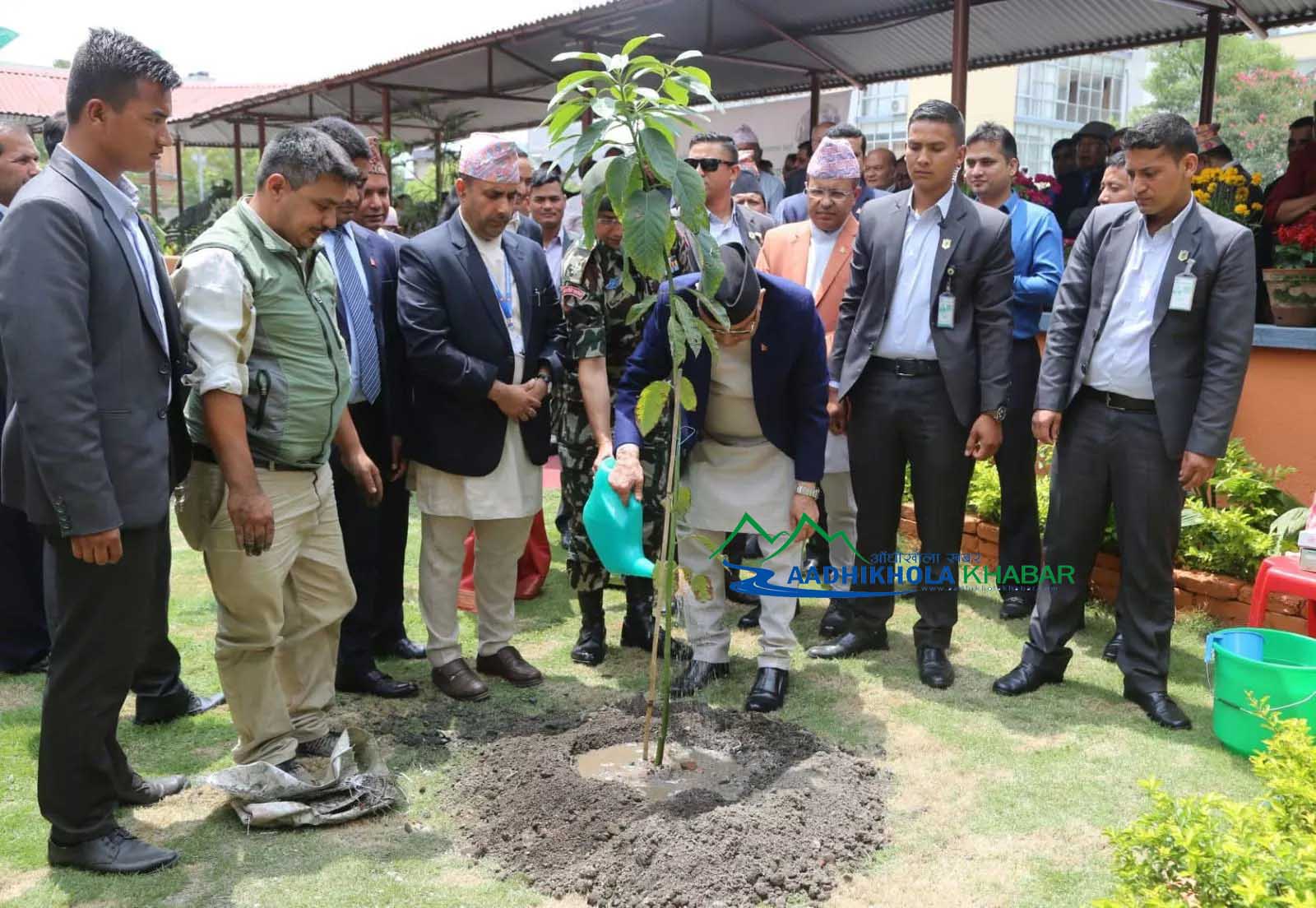 pm planting plants in worlds environmental day