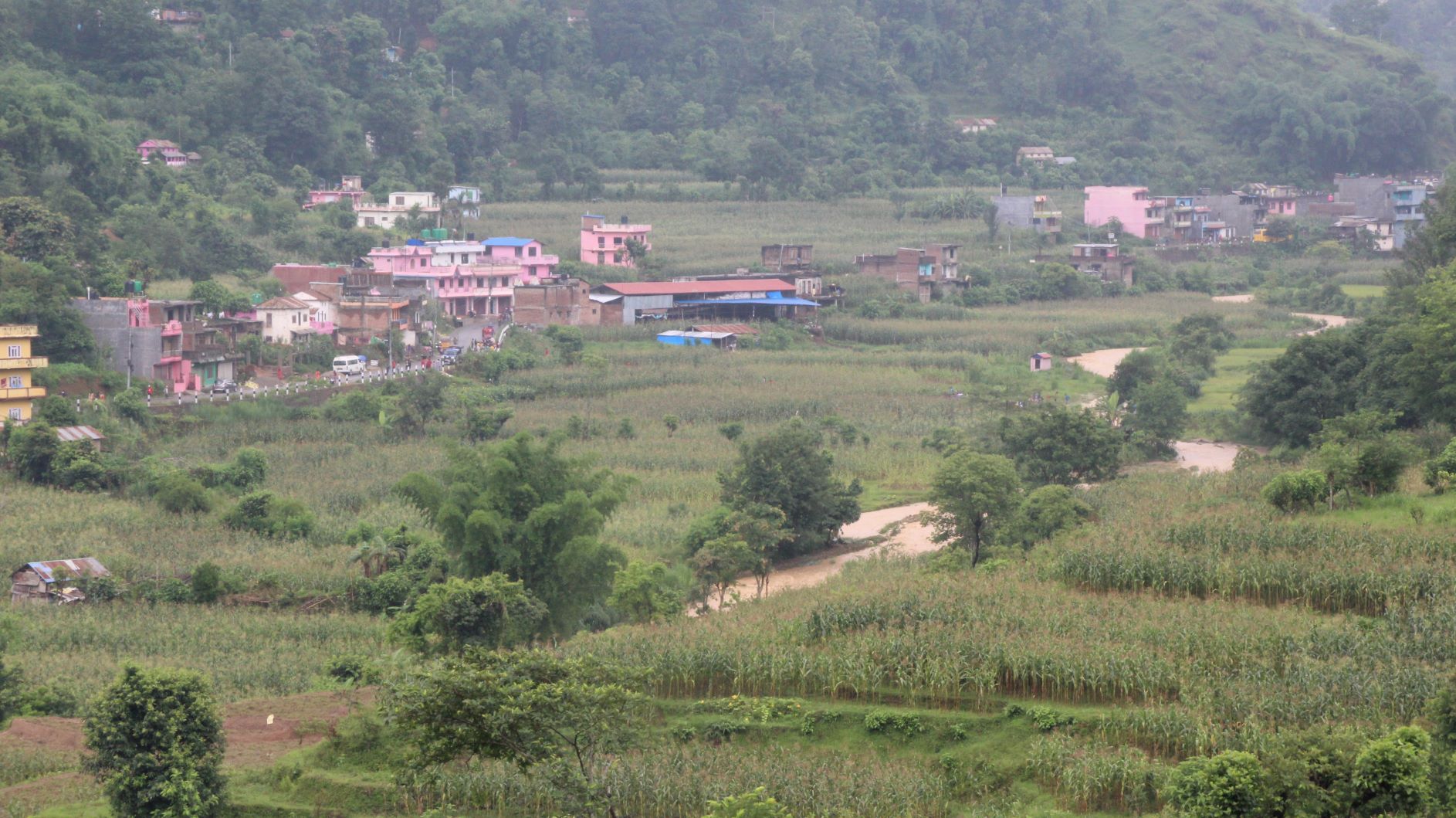 Waling