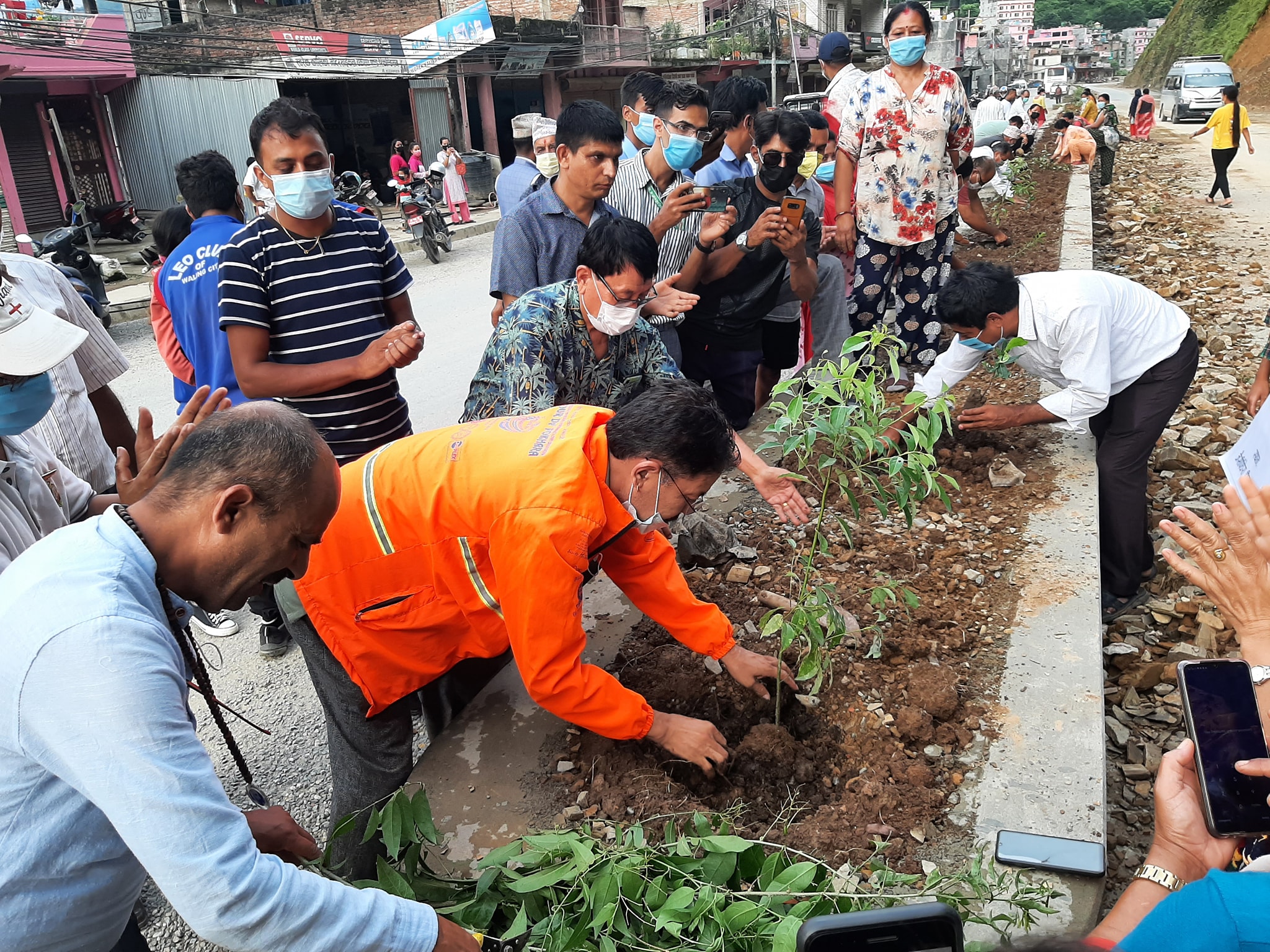 plantation waling