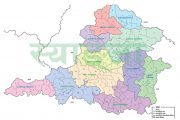 Election Nc Uml