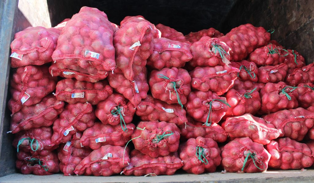 Onion F. Photo